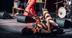 250503_PawelStreit_WildiBlaatere_5